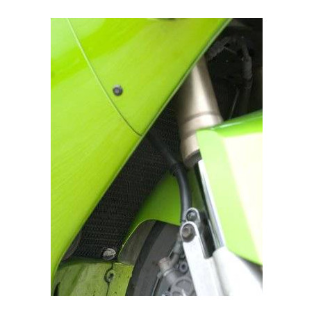 griglia protezione radiatore - Kawasaki ZX12-R 02-06 (titanio)