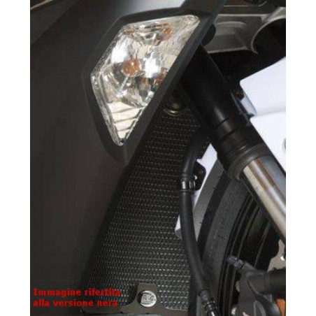 grille de protection de radiateur - Kawasaki ZX6-R 13- (titane)