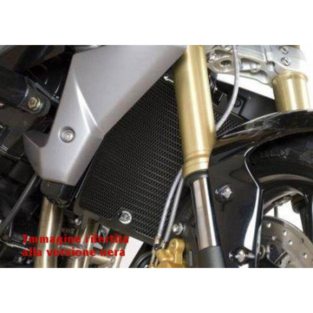 griglia protezione radiatore - Triumph Street Triple R 13- (no modello RX) (tita