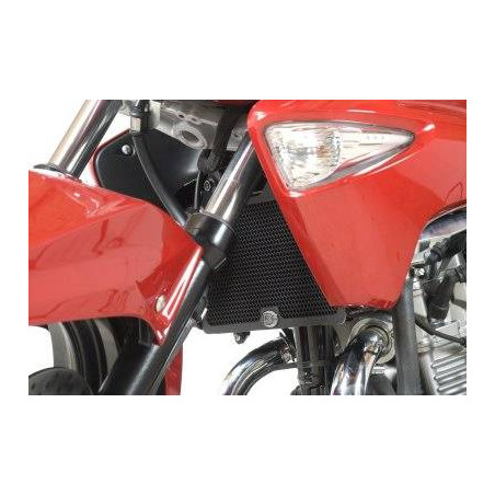 griglia Protezione Radiatore - Suzuki Inazuma 250