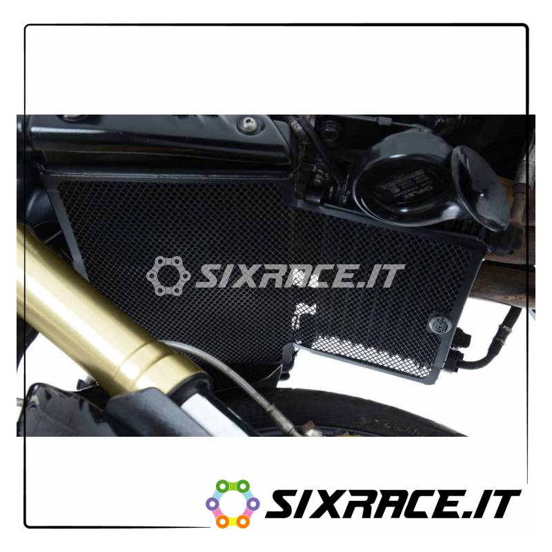 griglia protezione radiatore - Triumph Speed Triple 05