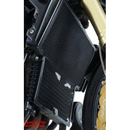 griglia protezione radiatore - Triumph Speed Triple 05 (titanio)