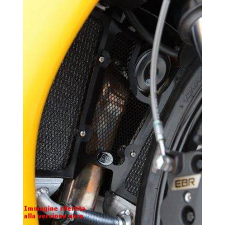 griglia protezione radiatore e silenziatore - Buell EBR1190RX / SX (titanio)