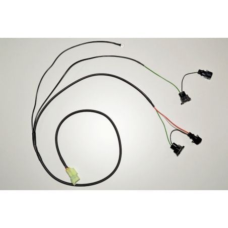 HT-QSH-F2D iQSE - Kit Cablaggio BMW R 1100 RS 1100 1996 1998 HEALTECH