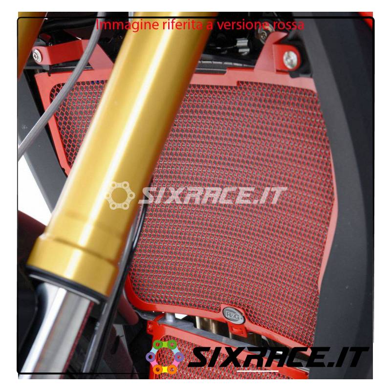 griglia protezione radiatore - BMW S1000XR (colore titanio)