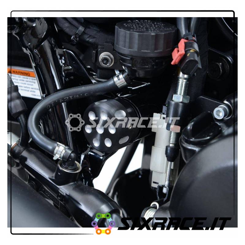 Cornice portatarga / protezione cinghia Harley-Davidson Street 500/750 - lato de
