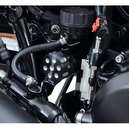 Cornice portatarga / protezione cinghia Harley-Davidson Street 500/750 - lato de