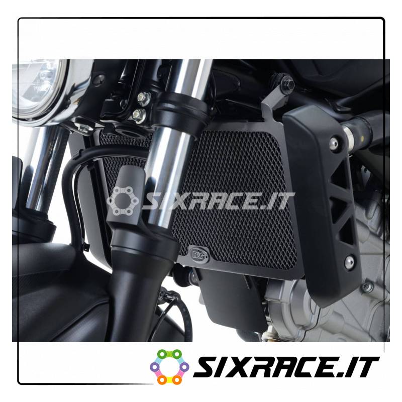 griglia protezione radiatore - SUZUKI SV650 16- / SV650X 18- (colore titanio)