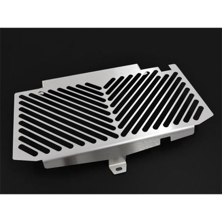 Z10001315 Griglia Radiatore Acqua - Inox BMW F 650 GS (twin) 800 2008 2012 IBEX