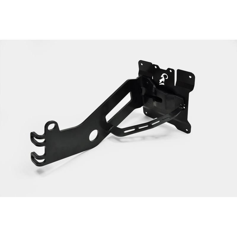 Z10000824 Zieger - Portatarga Laterale HONDA VT 750 DC Black Widow 750 2001 2001 IBEX