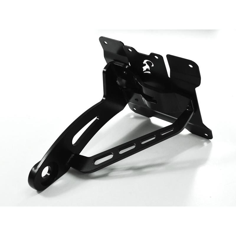 Z10000834 Zieger - Portatarga Laterale VICTORY Hammer / S / Jackpot 1643 2009 2010 IBEX