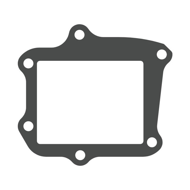 MTG321 V-FORCE Valvola lamellare Guarnizione valvola lamellare HONDA CR 125 R (2005to ) 125 2005 2007