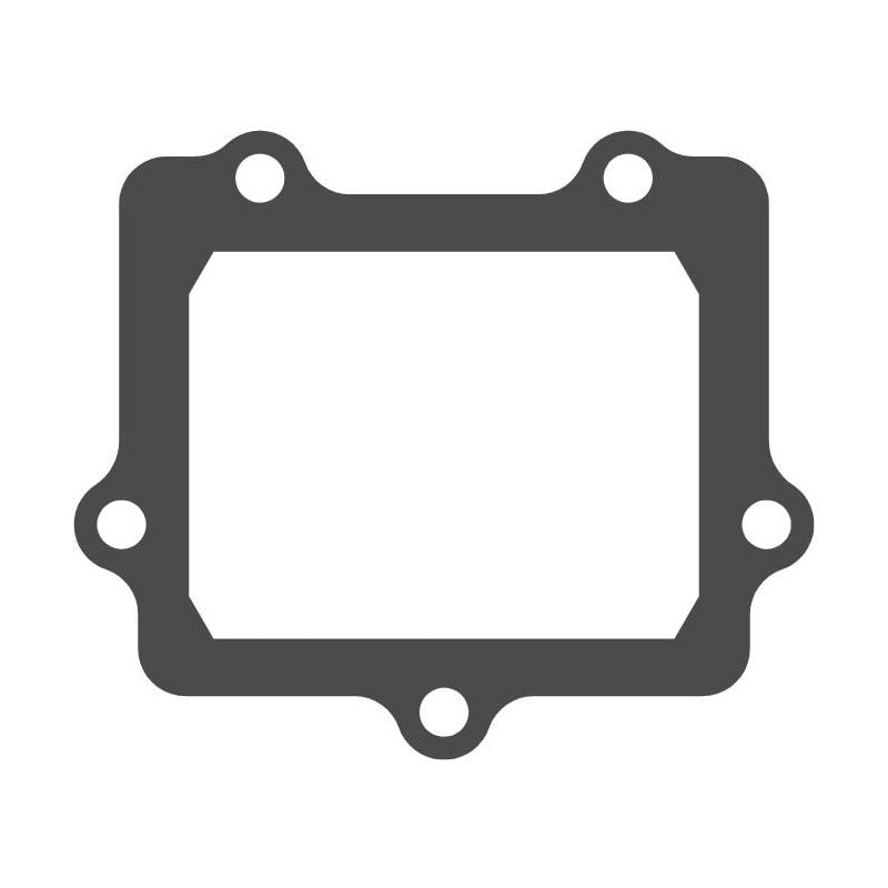 MTG307 V-FORCE Valvola lamellare Guarnizione valvola lamellare KAWASAKI KX 250 250 2005 2008 MOTO TA