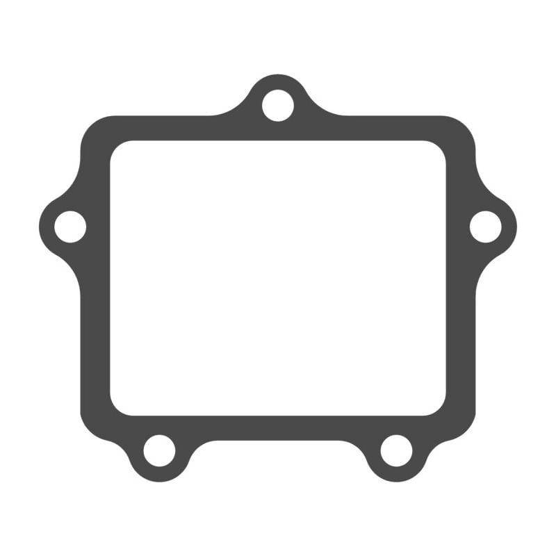 MTG407 V-FORCE Valvola lamellare Guarnizione valvola lamellare YAMAHA YZ 250 250 1997 2024 MOTO TASS