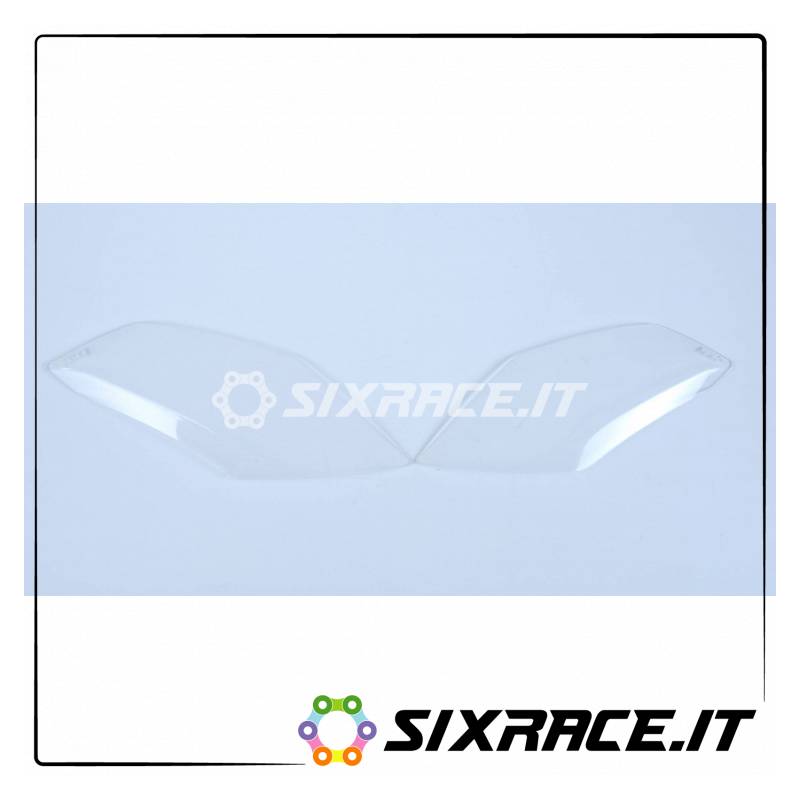 protezione fanale anteriore (cp) BMW S1000XR 15- RG