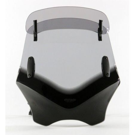 MR4025066140343 Parabrezza VFVTC - V-Flow Vario-Touring - C YAMAHA FZ1 naked 1000 2006 2015 MRA