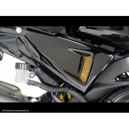 307-Y101-503 Fianchetti YAMAHA XSR 900 (to 2021) 900 2016 2021 POWERBRONZE