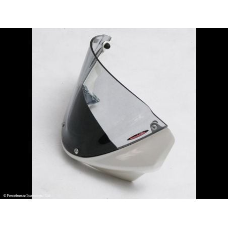 400-D108-002 Cupolino Airflow DUCATI Monster 796 800 2010 2014 POWERBRONZE