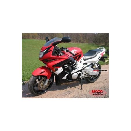 410-H116-000 Cupolino Standard HONDA CBR 600 F 600 1995 1998 POWERBRONZE