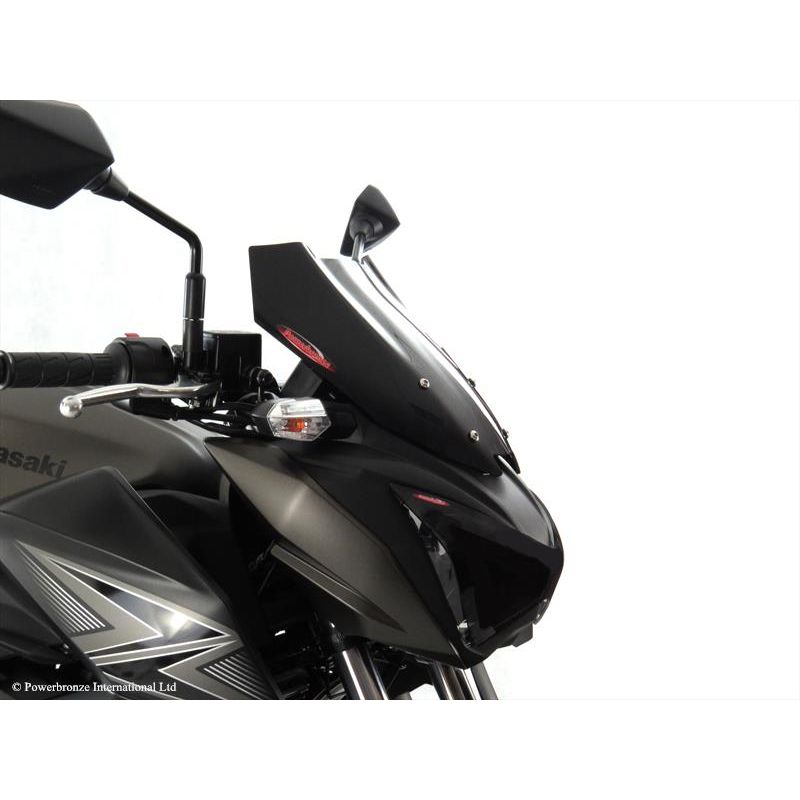 430-U176-003 Cupolino Naked KAWASAKI Z 250 (twin) 250 2013 2014 POWERBRONZE
