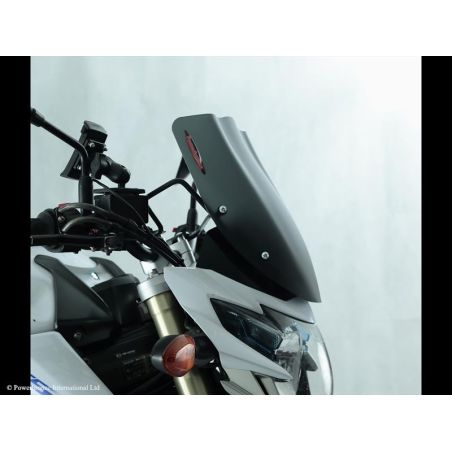 430-U173-002 Cupolino Naked SUZUKI GSR 750 750 2011 2016 POWERBRONZE