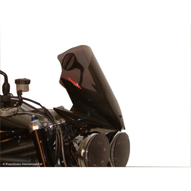 430-U134-002 Cupolino Naked TRIUMPH Speed Triple 1050 1050 2005 2010 POWERBRONZE