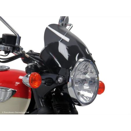 430-U217-003 Cupolino Naked - basso TRIUMPH T100 865 2008 2015 POWERBRONZE