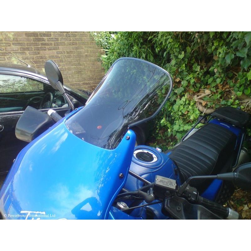 420-T106-002 Cupolino Flip-Up TRIUMPH Tiger 900 carb. 900 1994 1997 POWERBRONZE