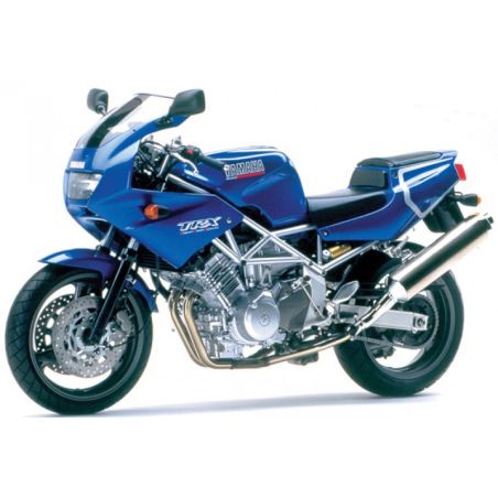 410-Y132-001 Cupolino Standard YAMAHA TRX 850 850 1996 1999 POWERBRONZE