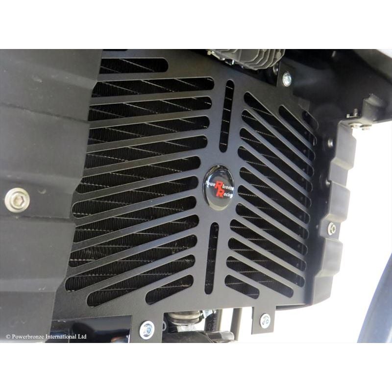520-B104-003 Griglia Radiatore Acqua Inox BMW G 310 R 310 2016 2025 POWERBRONZE