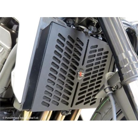 520-H118-005 Griglia Radiatore Acqua ABS HONDA CB 1000 R 1000 2018 2025 POWERBRONZE