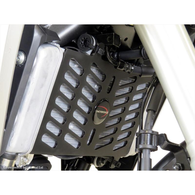 520-H116-005 Griglia Radiatore Acqua ABS HONDA CB 300 R (Neo Sports Cafe) 300 2018 2025 POWERBRONZE