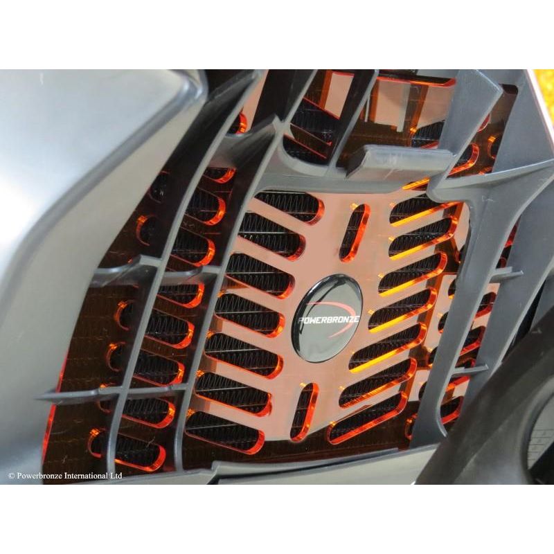 520-KT103-022 Griglia Radiatore Acqua ABS KTM Duke 125 (to 2023) 125 2017 2023 POWERBRONZE