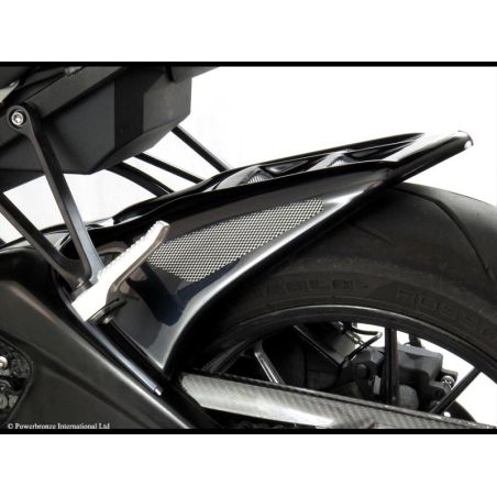 201-B102-680 Parafango Posteriore in ABS BMW S 1000 R 1000 2014 2020 POWERBRONZE