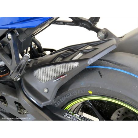 201-S116-680 Parafango Posteriore in ABS SUZUKI GSX-R 1000 / R 1000 2017 2022 POWERBRONZE