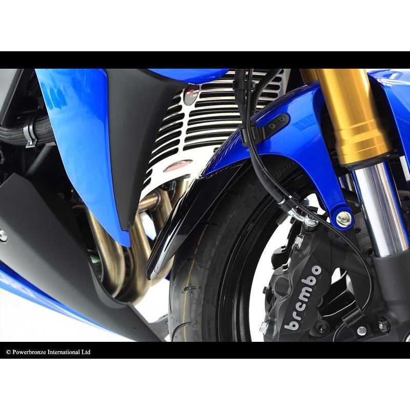 650-S120-003 Prolungamento Parafango Anteriore SUZUKI GSX-S 1000 F 1000 2015 2020 POWERBRONZE