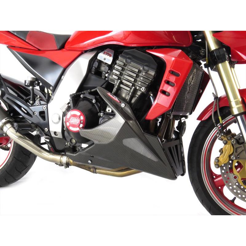 320-K115-670 Puntale Motore in ABS KAWASAKI Z 1000 (2003to ) 1000 2003 2006 POWERBRONZE