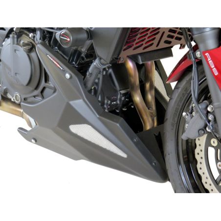 320-K121-670 Puntale Motore in ABS KAWASAKI Z E-1 750 2024 2025 POWERBRONZE