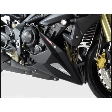 320-T102-670 Puntale Motore in ABS TRIUMPH Street Triple 675 R 675 2013 2017 POWERBRONZE