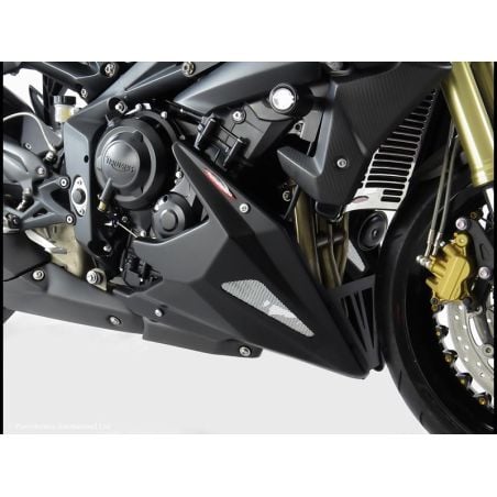 320-T102-670 Puntale Motore in ABS TRIUMPH Street Triple 765 RS 765 2017 2024 POWERBRONZE