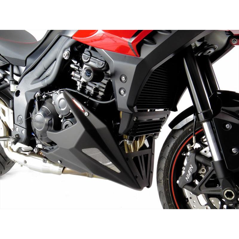 320-T103-680 Puntale Motore in ABS TRIUMPH Tiger 1050 Sport 1050 2013 2020 POWERBRONZE