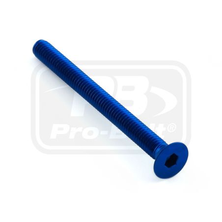 PBLCS445B Ergal - Vite Testa Svasata (TSPEI) UNIVERSALE 0 0 0 PRO-BOLT