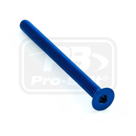 PBLCS450B Ergal - Vite Testa Svasata (TSPEI) UNIVERSALE 0 0 0 PRO-BOLT