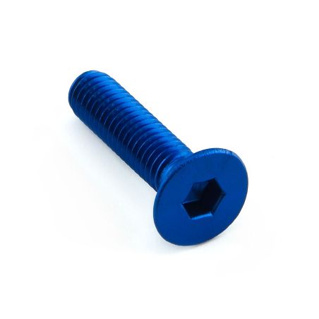 PBLCS625B Ergal - Vite Testa Svasata (TSPEI) UNIVERSALE 0 0 0 PRO-BOLT