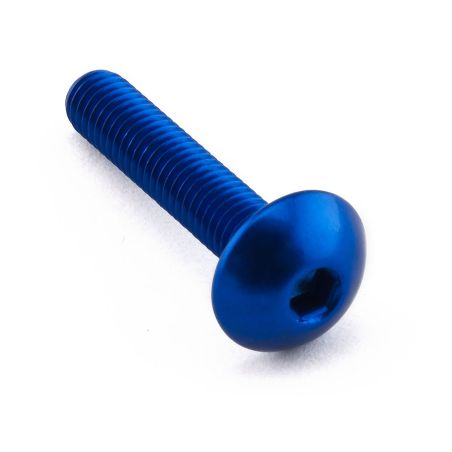 PBLFB525B Ergal - Vite Testa Bombata (TBEI) UNIVERSALE 0 0 0 PRO-BOLT