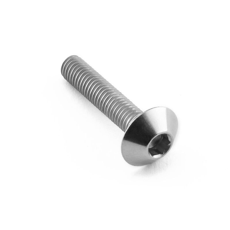 PBLSSFB525 Inox - Vite Testa Bombata (TBEI) UNIVERSALE 0 0 0 PRO-BOLT