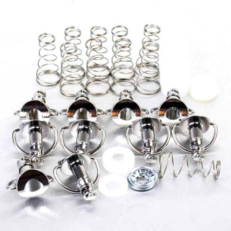 PBSSQRCLIP1019 Viti Sgancio rapido - inox - confezione da 10 UNIVERSALE 0 0 0 PRO-BOLT