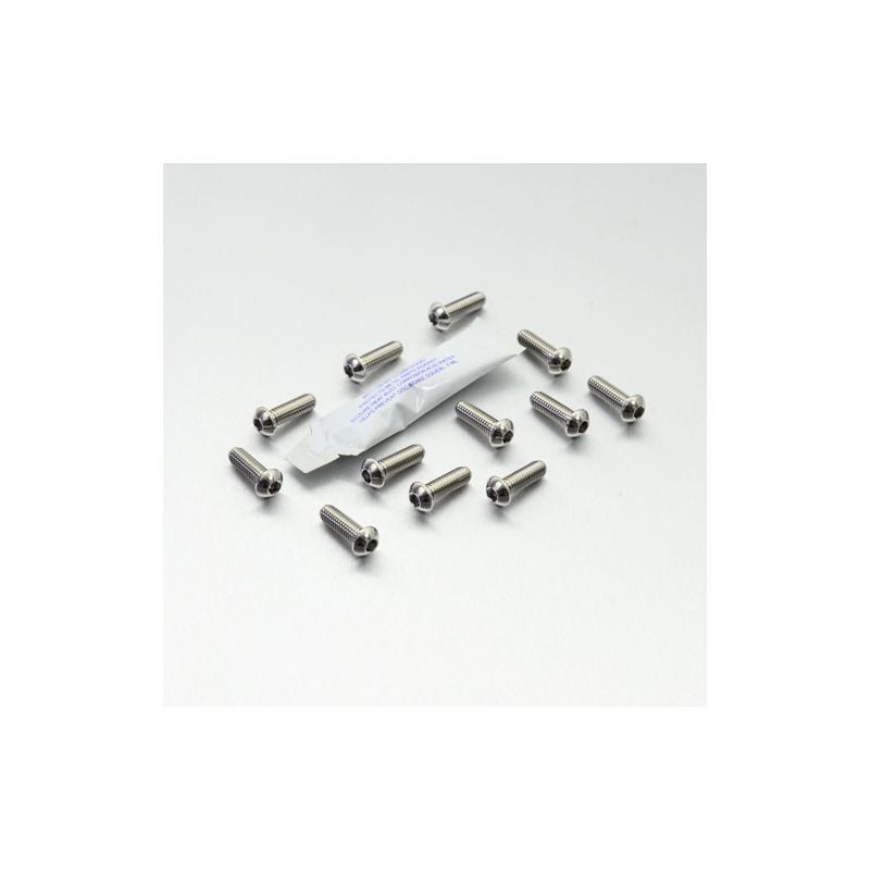 PBSS12DISCBMW002 Kit bulloneria - Inox Inox - Viti dischi freno ant. - 12 pezzi UNIVERSALE 0 0 0 PR