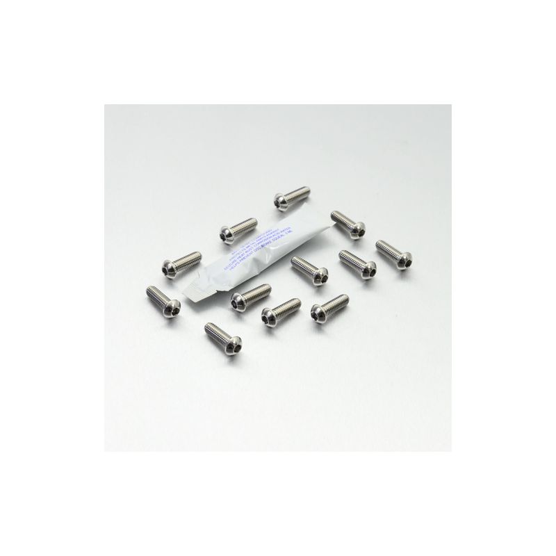 PBSS12DISCBMW002 Kit bulloneria - Inox Inox - Viti dischi freno ant. - 12 pezzi UNIVERSALE 0 0 0 PR
