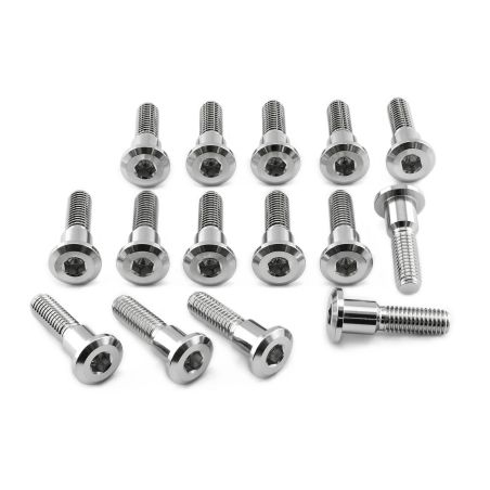 PBSS15DISCGSXR Kit bulloneria - Inox Inox - Viti dischi freno anteriori UNIVERSALE 0 0 0 PRO-BOLT